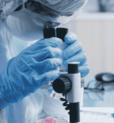 laboratory