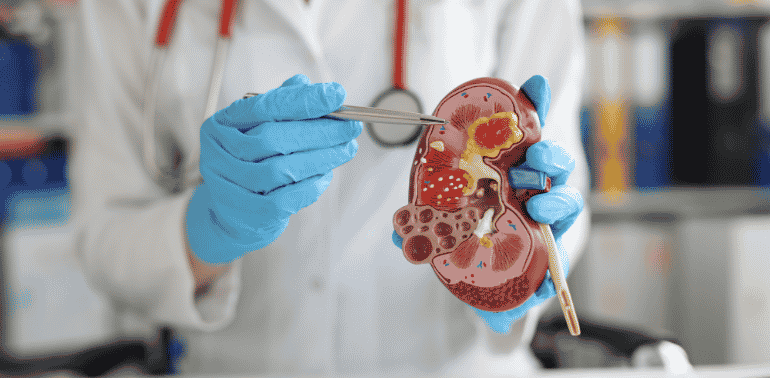 cardiology