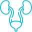 Urology
